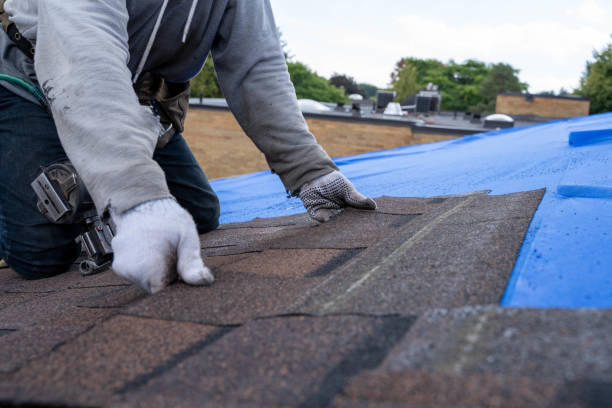 Best Flat Roof Repair Services  in Palmyra, IN