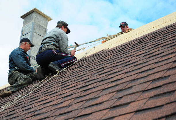 Best Local Roofing Companies  in Palmyra, IN